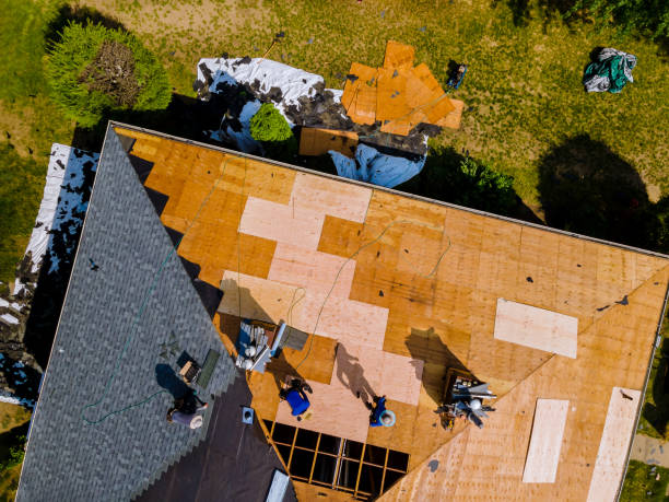 Best Roof Gutter Cleaning  in Burlingame, CA